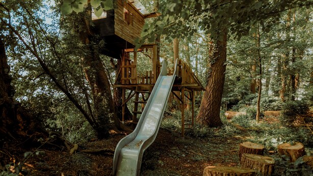 Une cabane en bois perchée dans un arbre, avec un toboggan, entourée d’une forêt dense.
