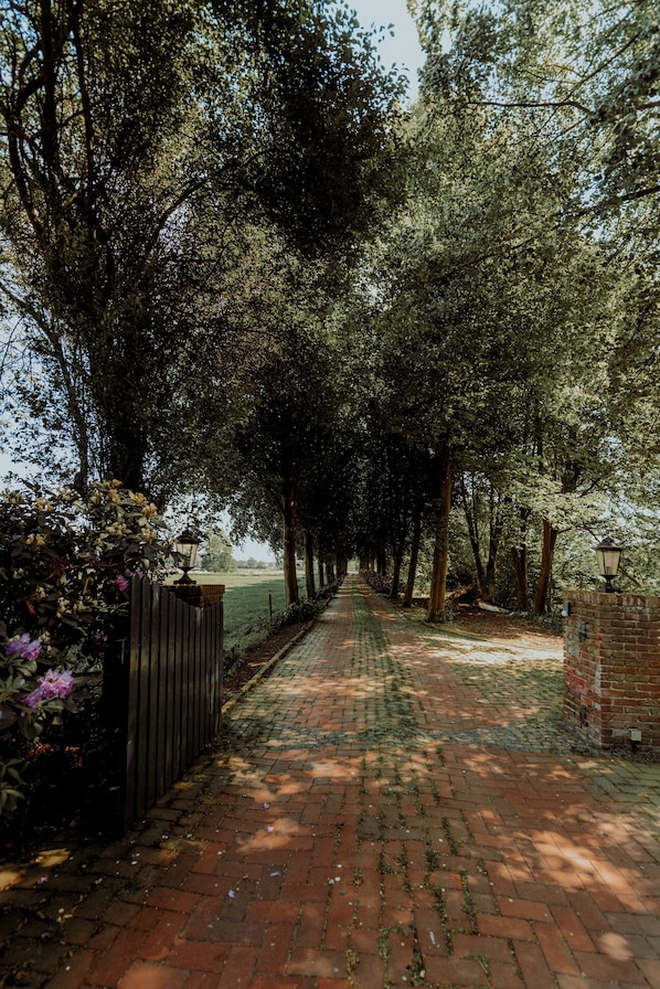 Jardin