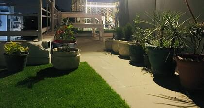 A sleepy Fox - Hostel