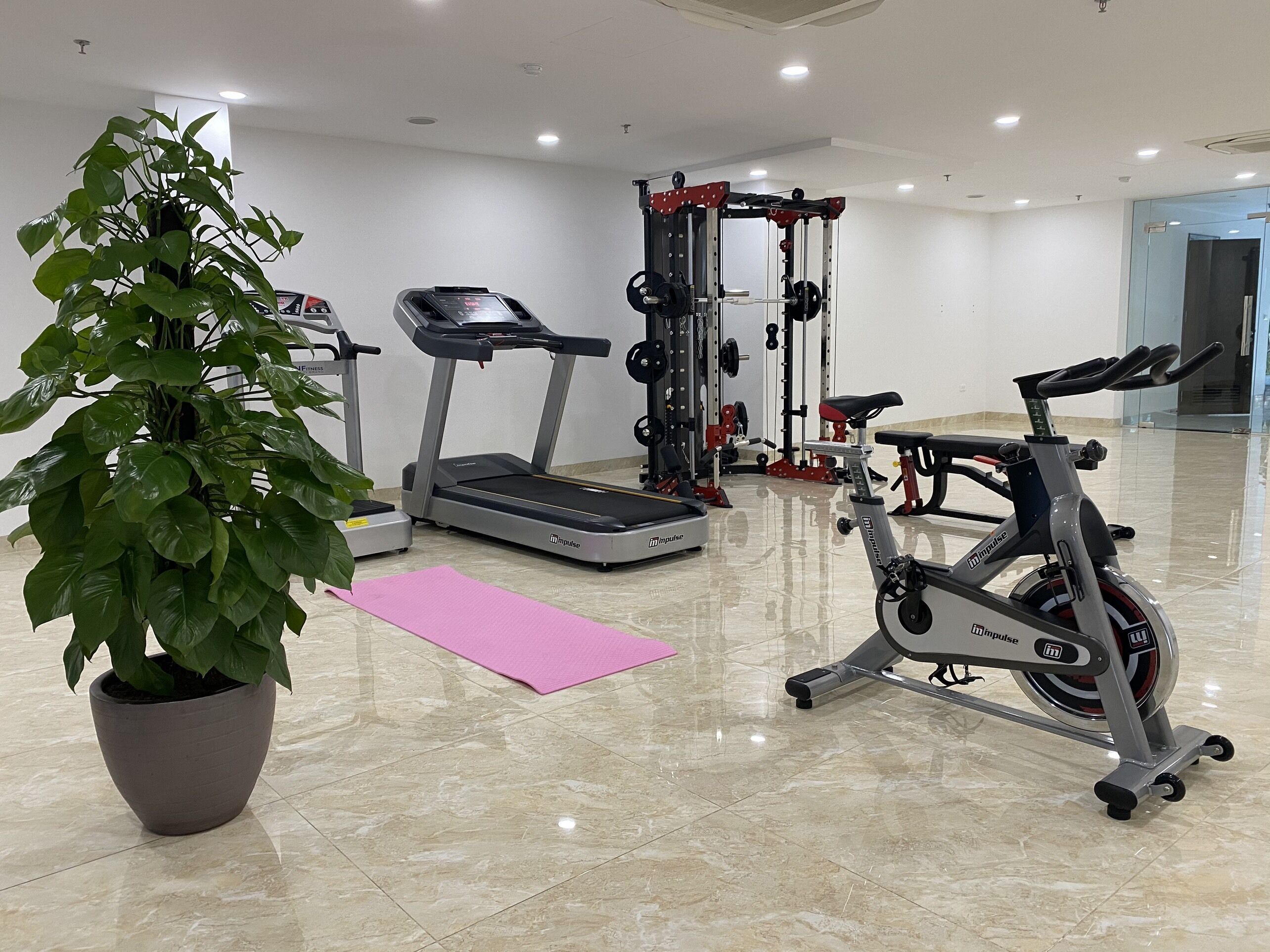 Un gimnasio con cinta de correr, máquina de pesas, bicicleta estática y una planta en maceta.