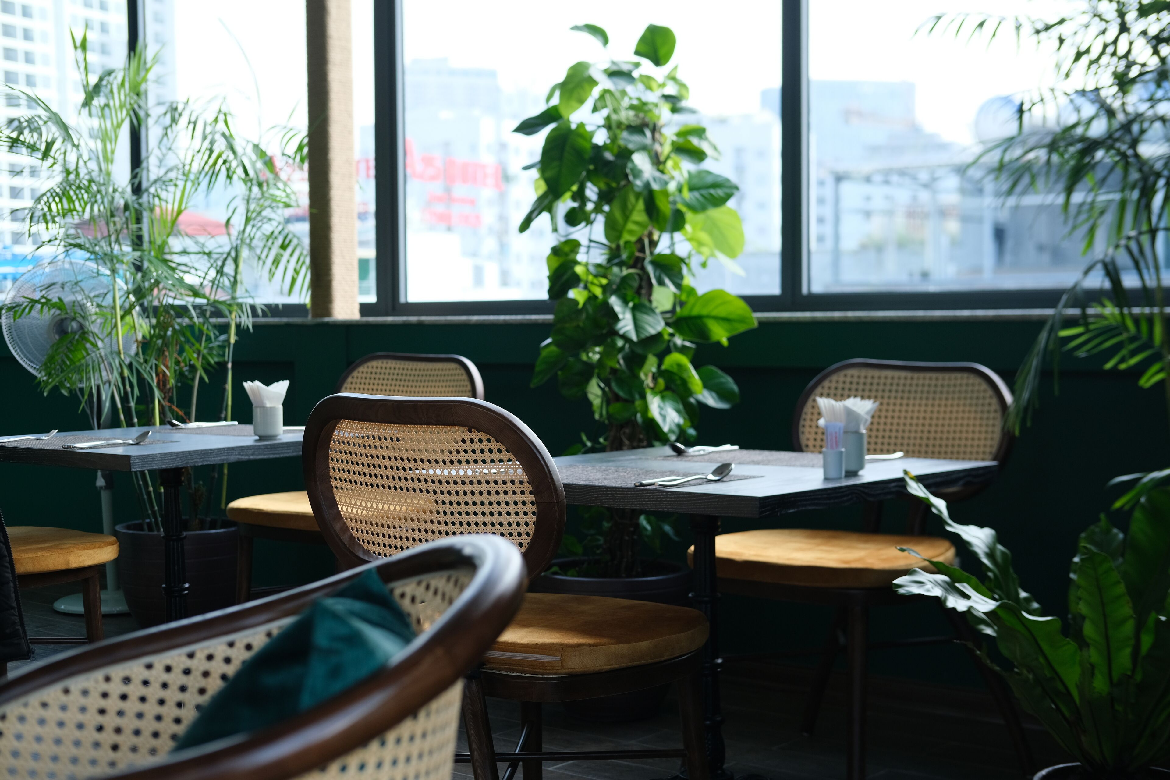 Zona pranzo con tavoli e sedie, ampie finestre e piante da interno.