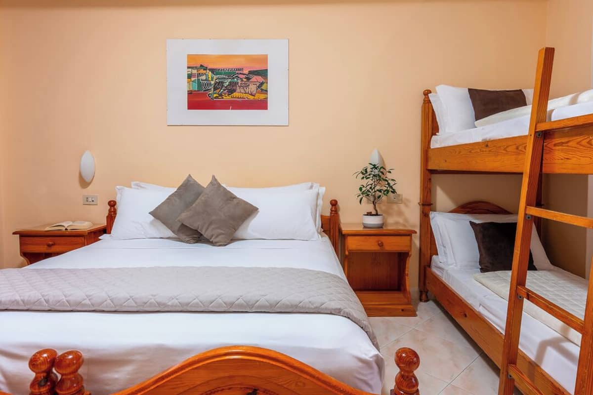 A room with a single bed, a bunk bed, a bedside table with a lamp, a small potted plant, and a framed picture on the wall.