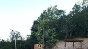 Un jardín con un árbol joven, un banco de madera y un cobertizo pequeño.