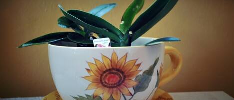 Una taza con diseño de girasol y una pequeña planta en su interior.