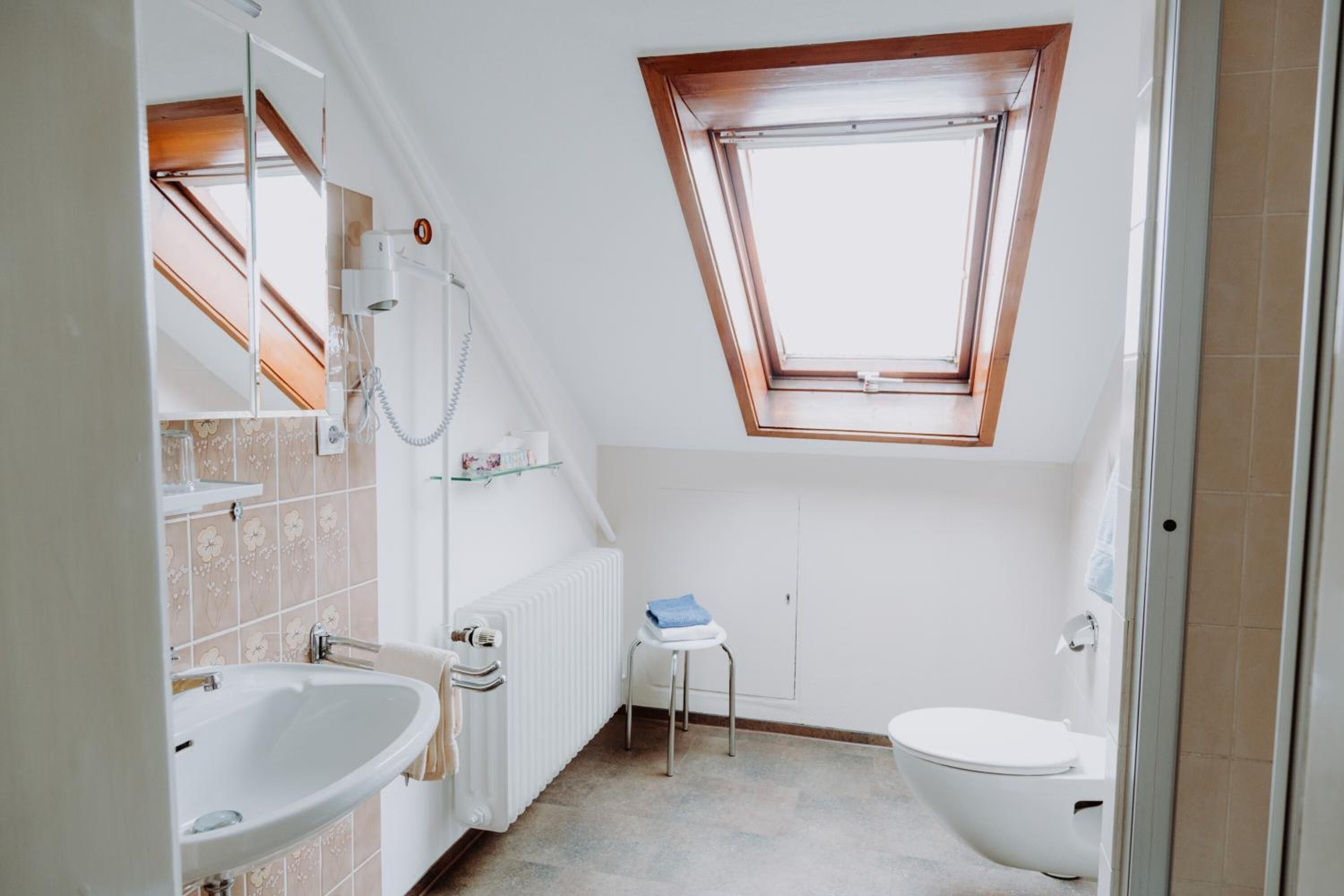 A small, modern bathroom with a skylight, a white sink, a toilet, and a shower area.