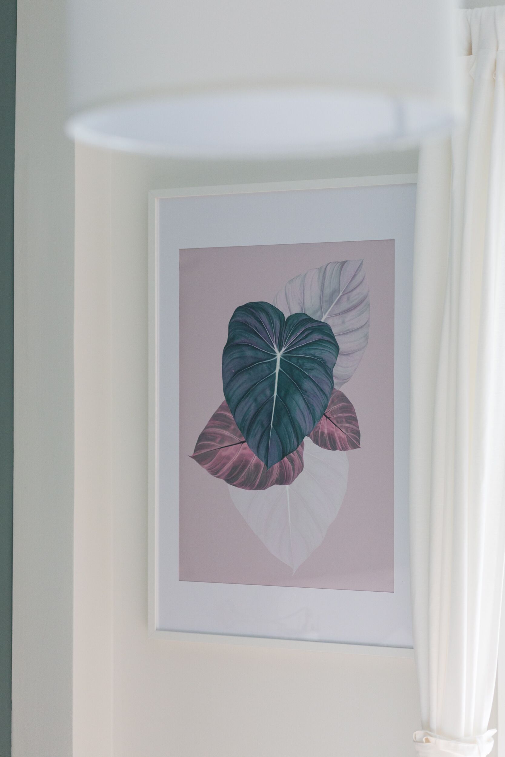 Ein gerahmtes Pflanzenbild an einer Wand.