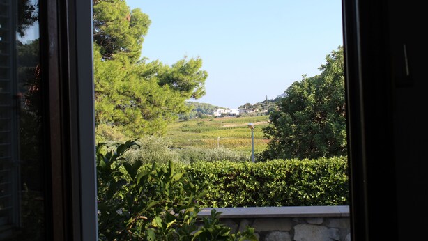 A view through a window of a lush garden with a stone wall, dense greenery, and a distant hill with buildings. - Beach Apartment Jakobus (Lumbarda)