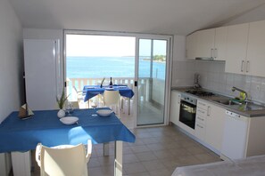 Apartment, 1 Bedroom, Terrace, Sea View | Private kitchen | Fridge, oven, stovetop, dishwasher - Apartments Andrea (Vela Luka)