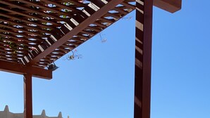 Un área de piscina con pérgolas de madera, un pabellón y un edificio con balcones al fondo.
