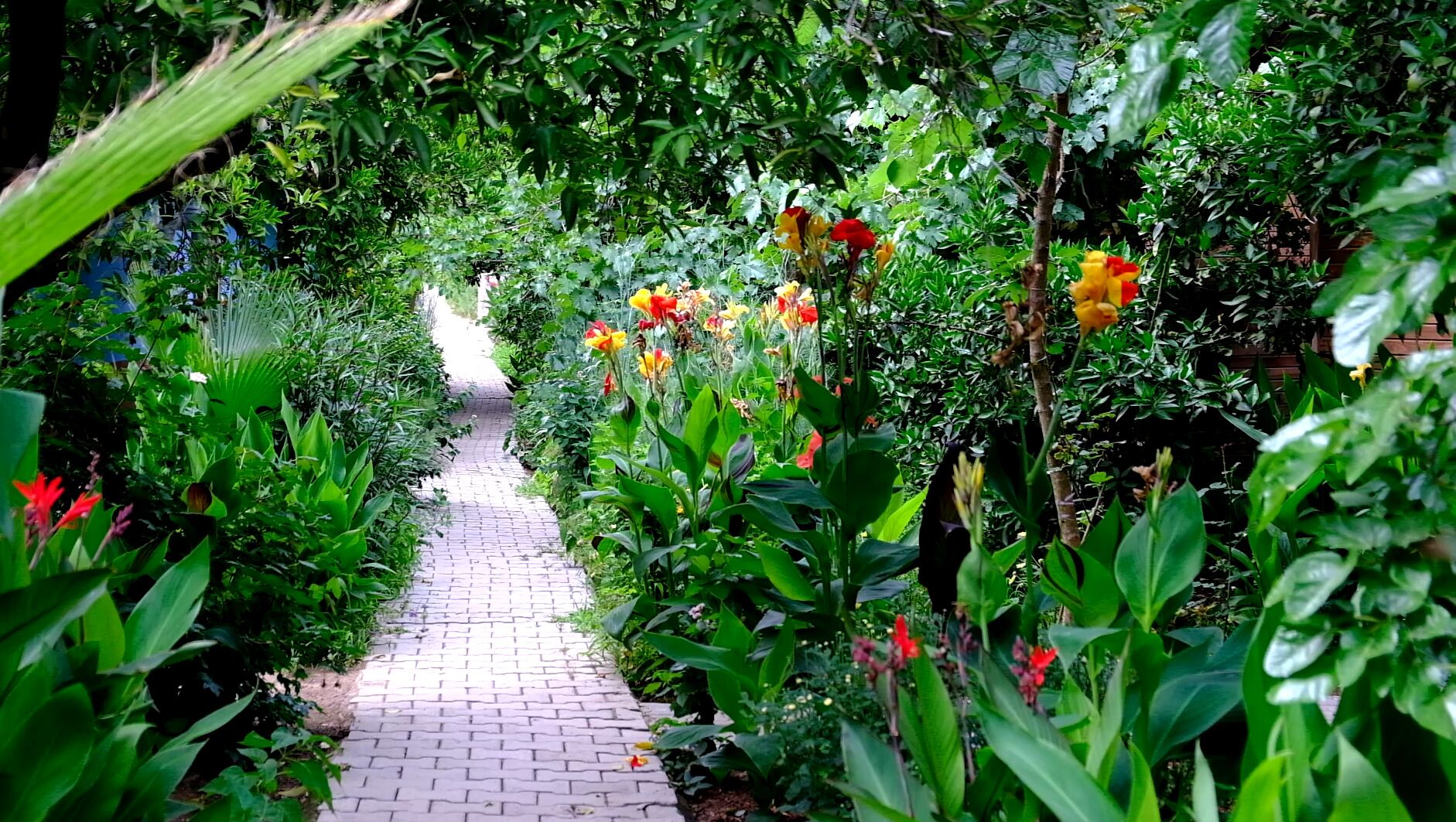 Premium bedding, bed sheets, wheelchair access