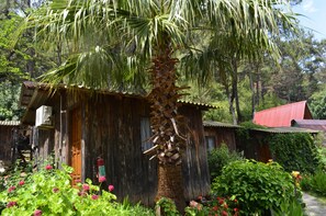 Premium bedding, bed sheets, wheelchair access - Olympos Mercan Bungalow (Kumluca)