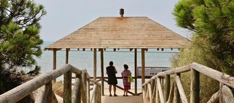 Beach and Forest Apartment