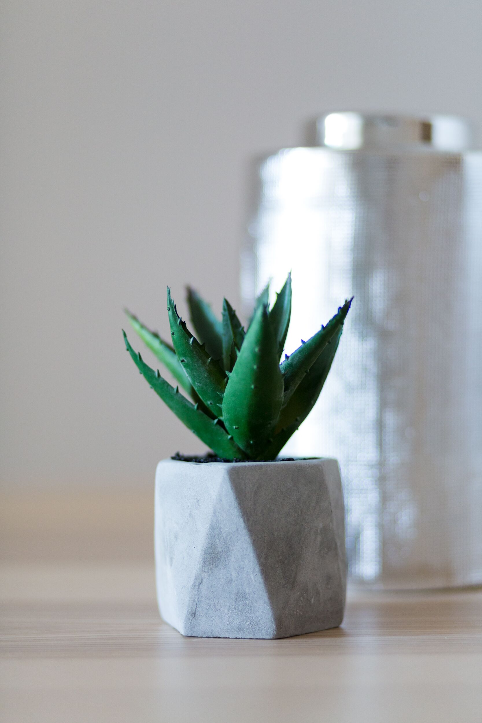 A potted aloe vera plant in a geometric white pot on a wooden surface.