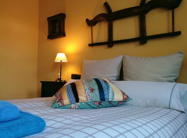 Double Room, Accessible (Campillejo)