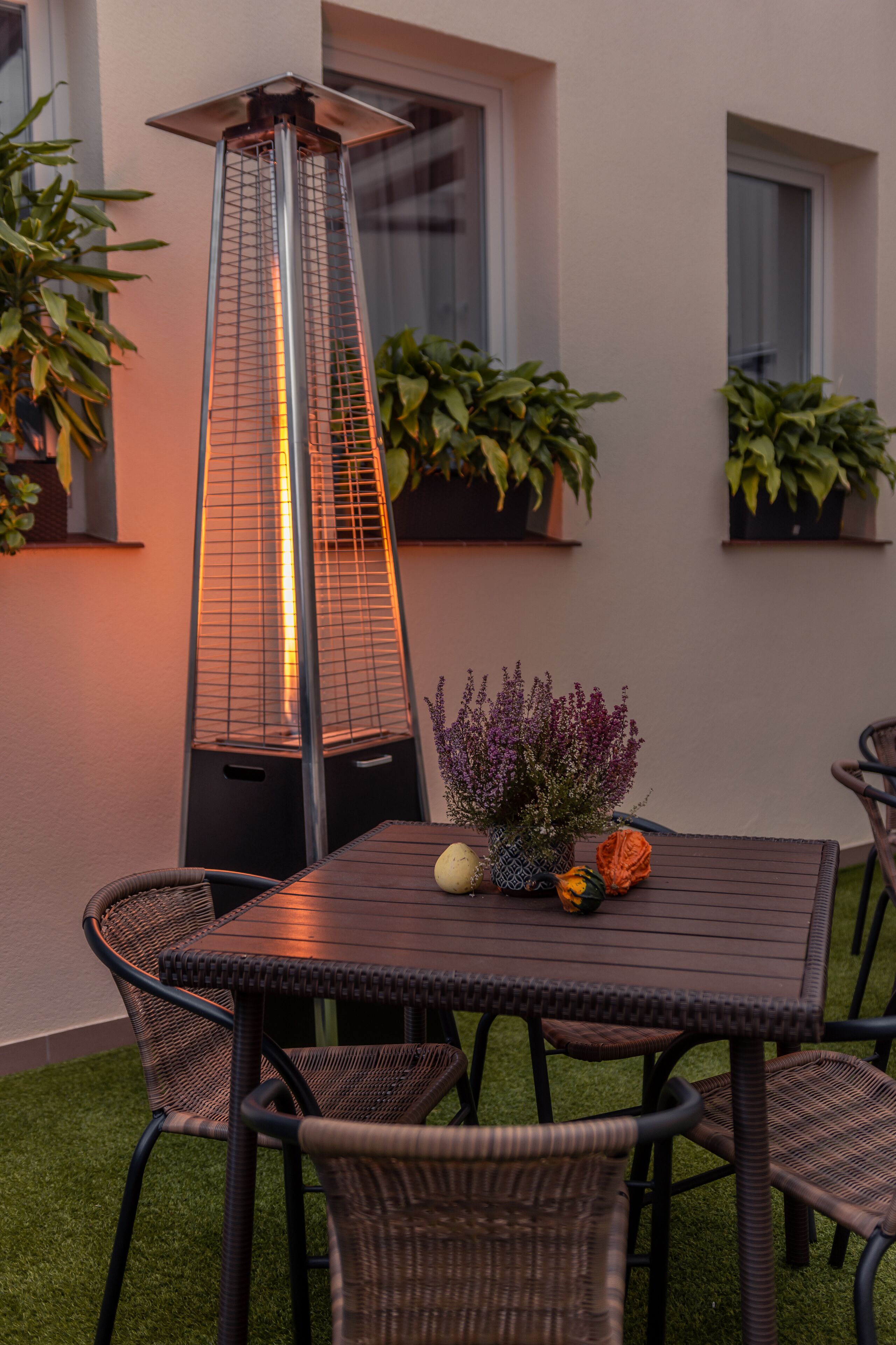 テラス / パティオ