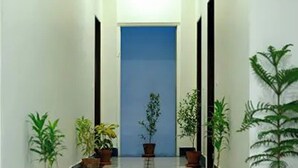 A hallway with potted plants, a blue door at the end, and a tiled floor. - Hotel Dior Near Jal Mahal, Jaipur (Jaipur)