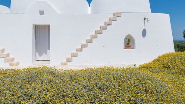 Un edificio blanco con una escalera que lleva a una puerta, rodeado por un campo de flores amarillas.