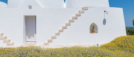 Bagian depan properti