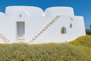 A white building with a staircase leading to a door, surrounded by a field of yellow flowers.