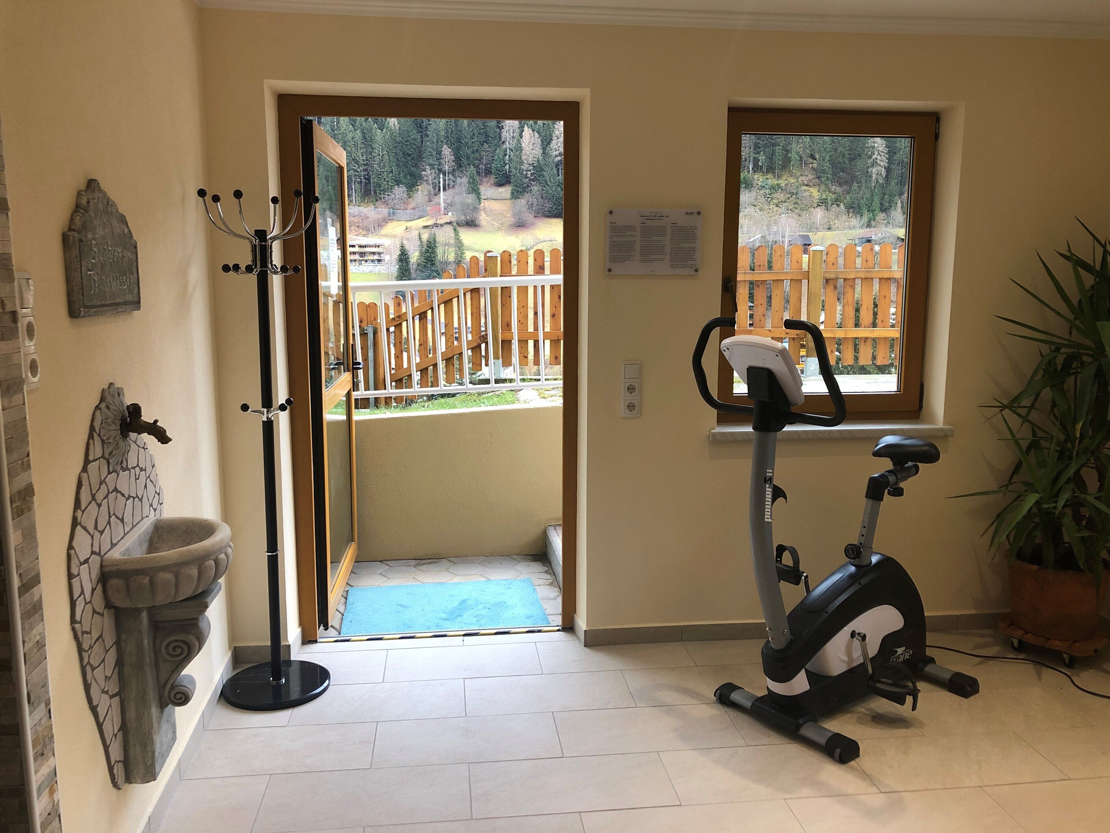 A room with a wooden door leading to a balcony, a standing exercise bike, a potted plant, and a stone wall with a mosaic.