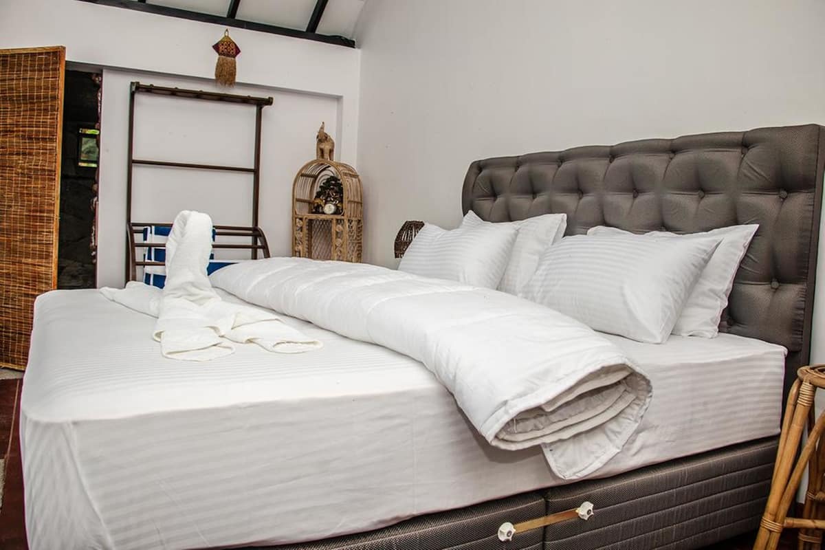 Escritorio, insonorización y wifi gratis