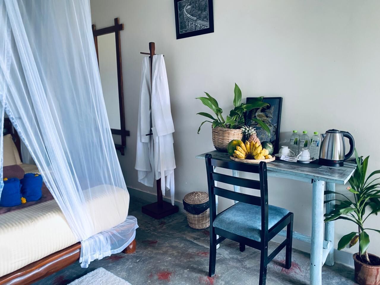 Une pièce comprenant un lit, une table avec des fruits et une bouilloire, une chaise et une plante en pot.