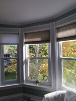 Traditional Room | View from room