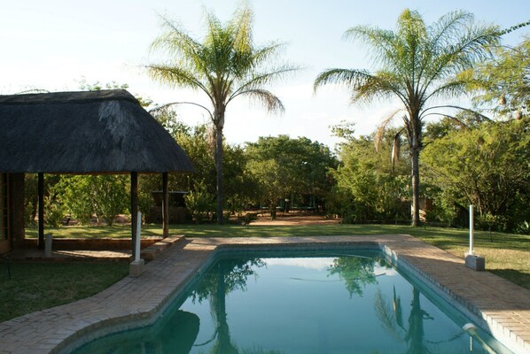 Outdoor pool, open 6:00 AM to 8:00 PM, pool umbrellas, pool loungers