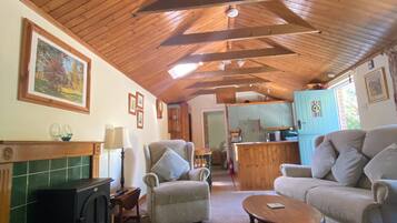 Smart TV, fireplace, DVD player, books