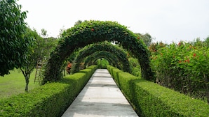 Un sentier bordé de haies soigneusement taillées et un arc de triomphe recouvert de verdure.
