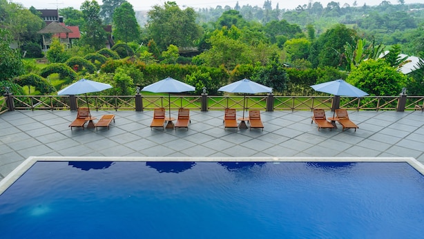Une piscine entourée d’un sol en carrelage et d’une végétation luxuriante, avec des chaises longues et des parasols à proximité.