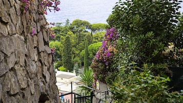 Vista dalla struttura