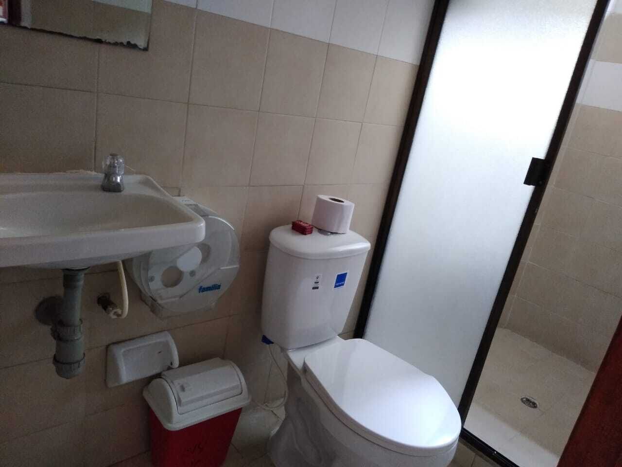 A small bathroom with a white sink, toilet, and shower.