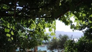 Exterior - John's Guesthouse (Ksamil)