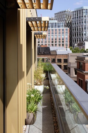 A balcony with potted plants and a view of modern buildings.