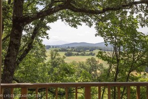Ferienhütte | Blick vom Balkon