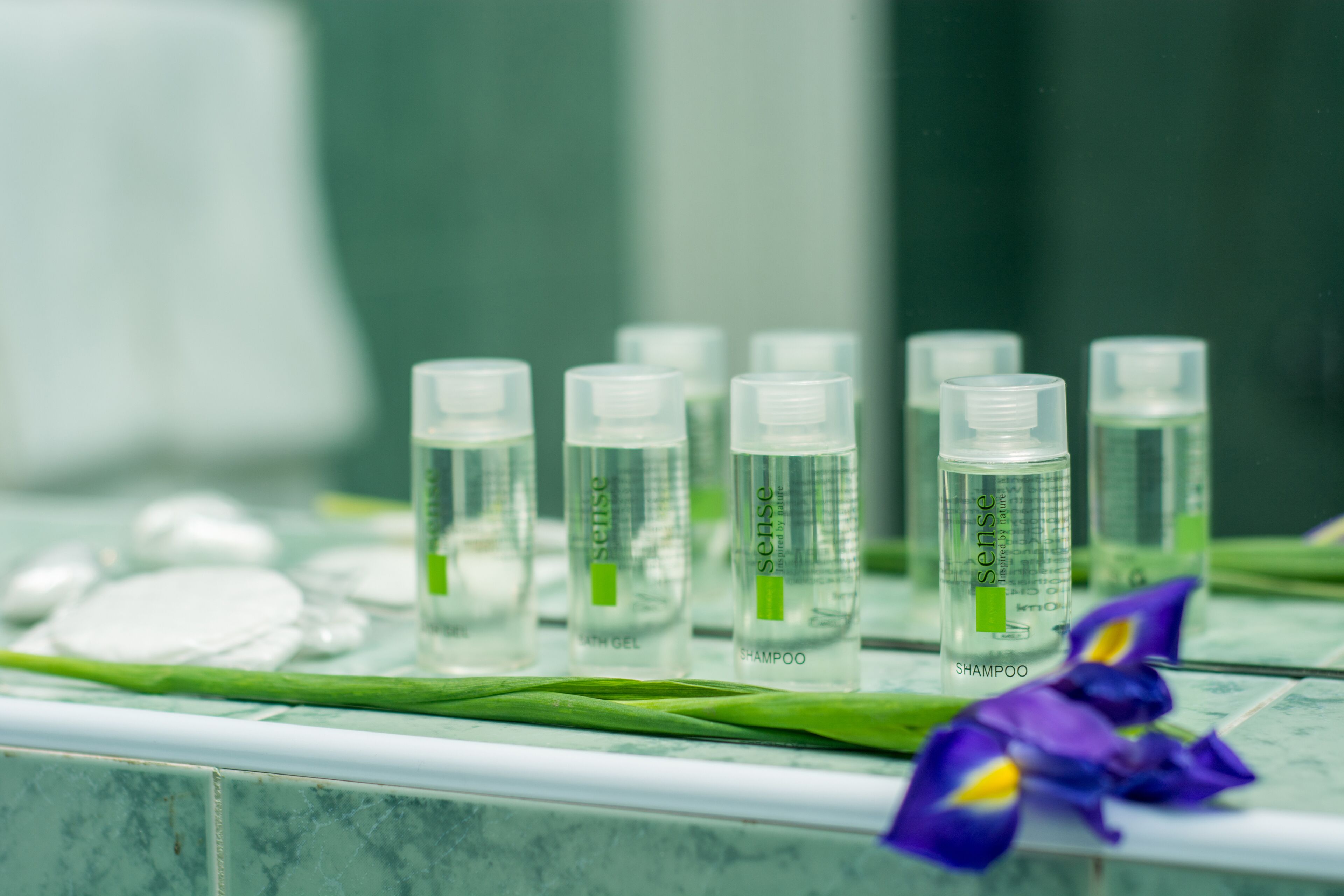 family room | bathroom | shower, free toiletries, hair dryer, dressing gowns