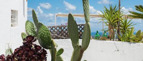 Un bâtiment blanc à la structure ajourée, avec des cactus au premier plan.