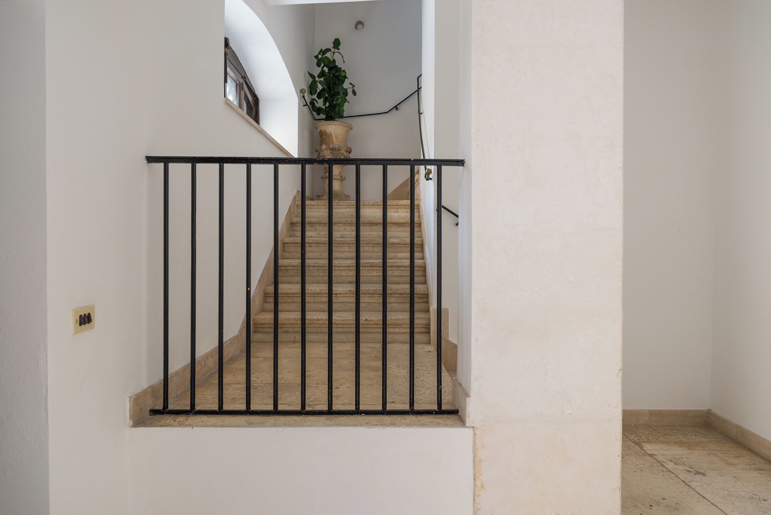 Un escalier avec une rampe en métal noir, un pot de fleurs placé en haut, et un mur blanc uni.