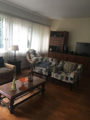 TV