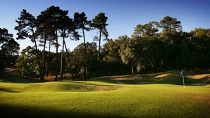 A golf course with a well-maintained fairway, sand bunkers, and tall trees in the background. - Seignosse Ocean, 1-star apartment, direct access to the ocean and private parking space, sleeps 4 (SEIGNOSSE)