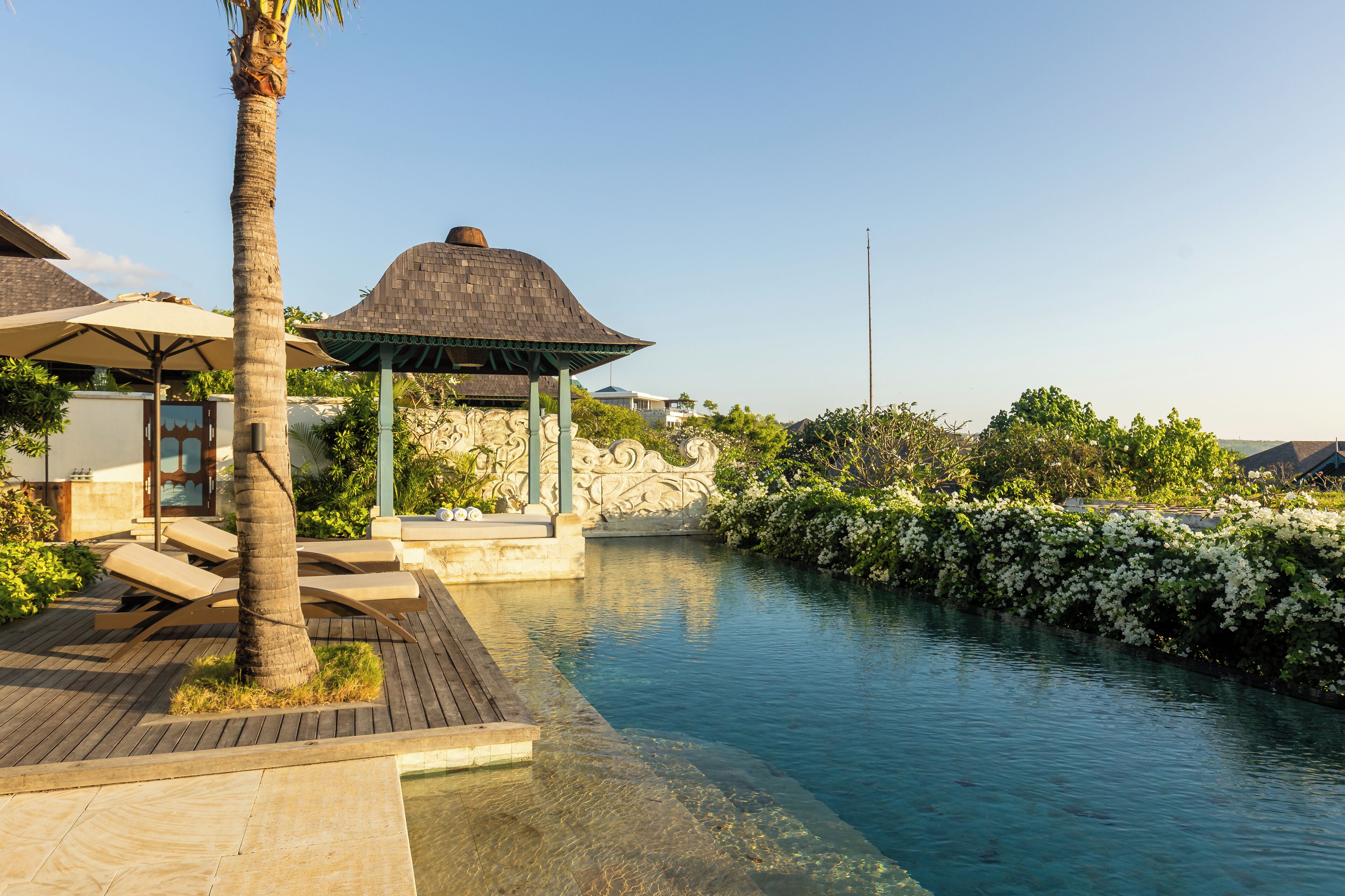 A serene pool area with lounge chairs, a palm tree, and a decorative wall.