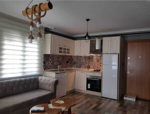 Apartament, 1 dormitori | Cuina bàsica privada | Frigorífic gran, forn, placa de cuina i rentaplats 