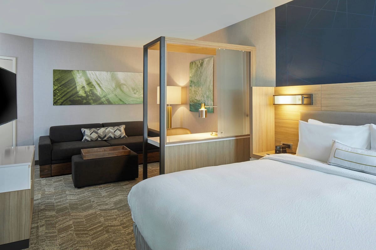 Une chambre d’hôtel avec un lit, un canapé, un bureau et une télévision.