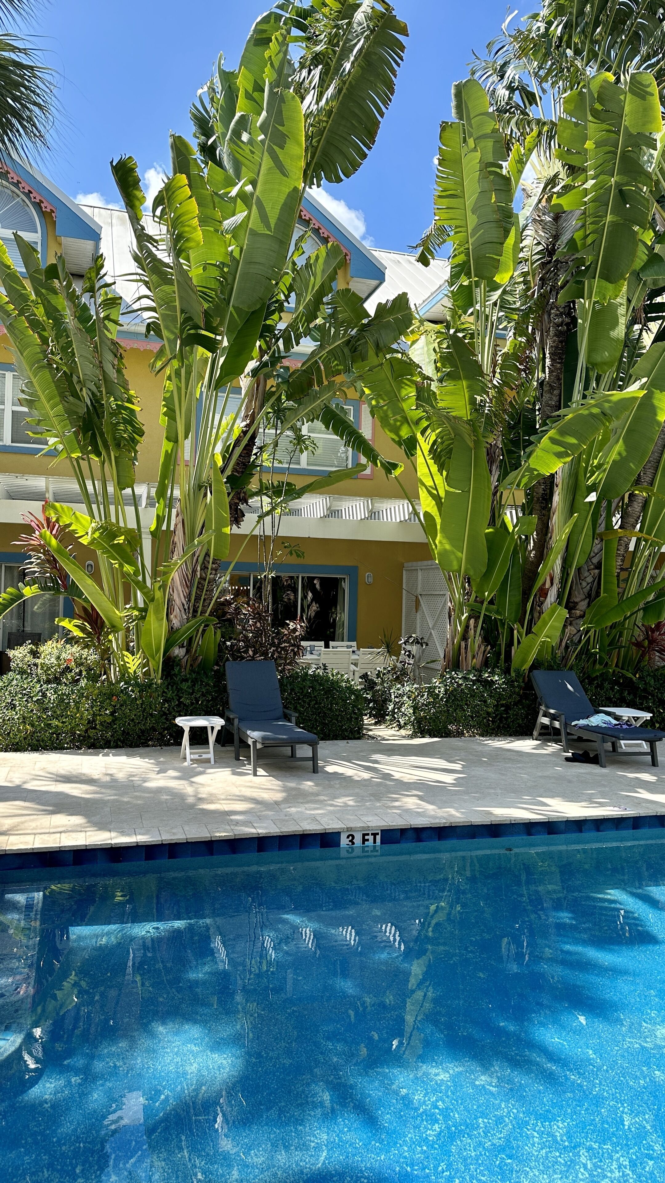 Un espace piscine aménagé avec des chaises longues, une piscine à l’eau d’un bleu limpide et des plantes tropicales.