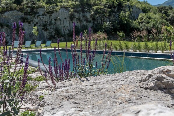 A pool surrounded by rocks and purple flowers, with a view of a mountainous landscape in the background. - Agritur La Dolce Mela - Adults Only (Vallelaghi)