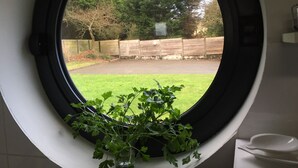 Une fenêtre donnant sur un jardin, une clôture en bois et un arbre.
