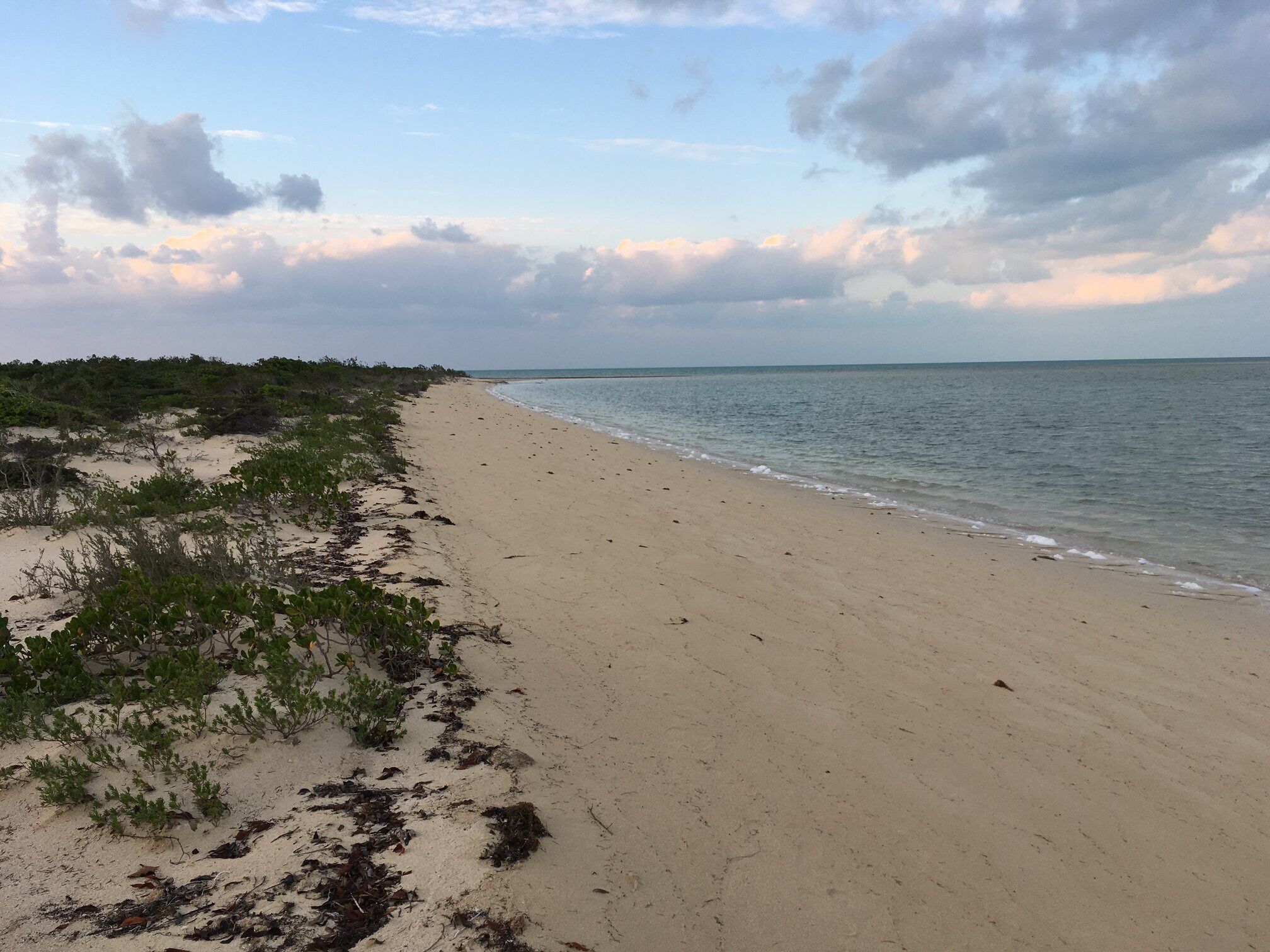 Beach/ocean view