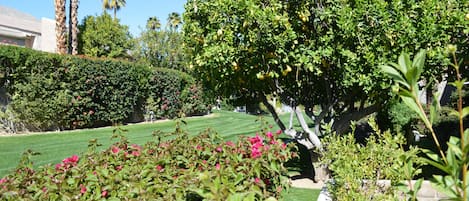 Áreas de la propiedad