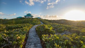 A pathway leading to a building with a blue roof, surrounded by lush greenery. - Cottage for 2 at Dragon Cay Resort Mudin Harbour (Mudjin Harbor)